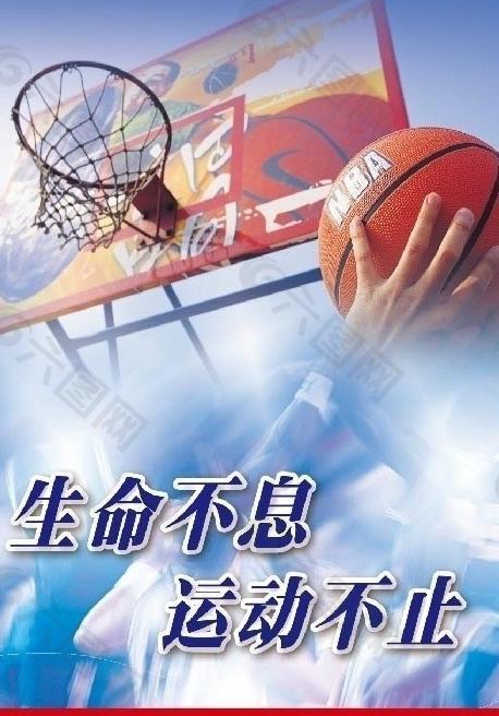 仅提高了球