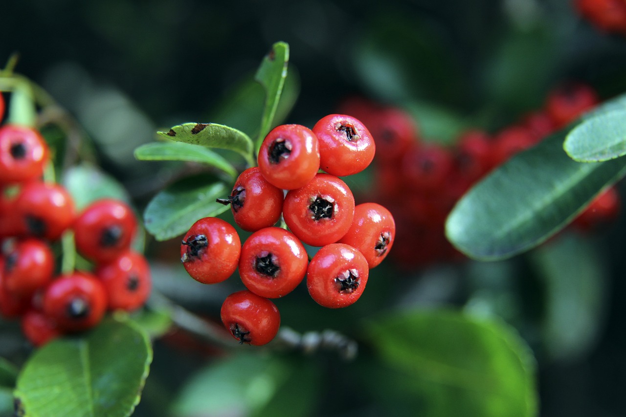 直接影响到 直接影响到