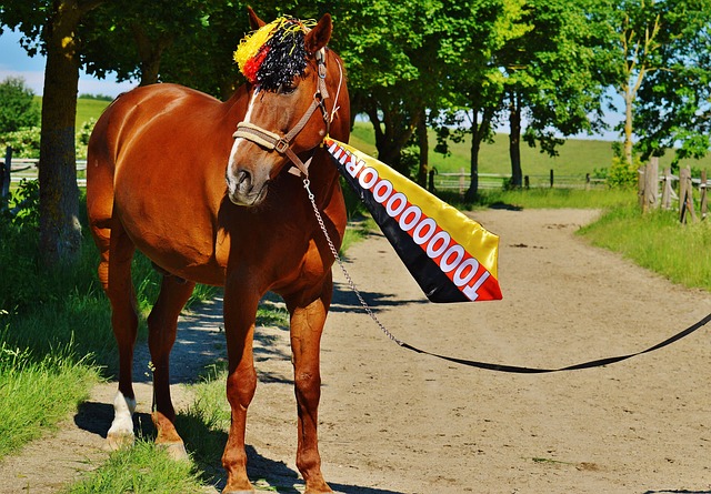 展的关键 展的关键