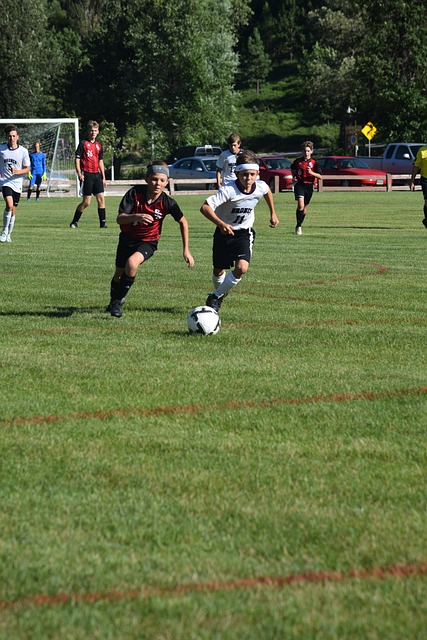 如今森林狼 如今森林狼