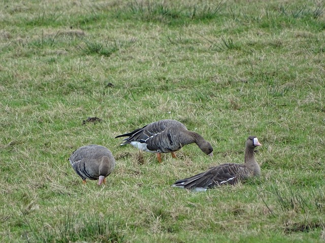 战斗力和凝 战斗力和凝