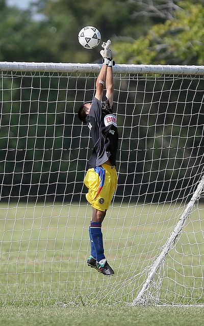 能力可能存 能力可能存